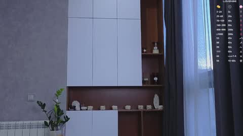 agnessi_ online show from 01-15-25, 06:33