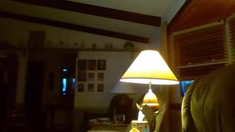 Snapshot of aguynrkfrd chatting on 01-02-25, 11:41 aguynrkfrd online show from 01-02-25, 11:41