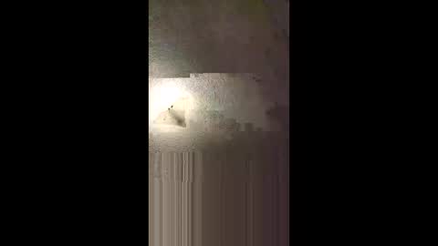 Snapshot of aj297914 chatting on 02-08-26, 05:22 aj297914 online show from 02-08-26, 05:22