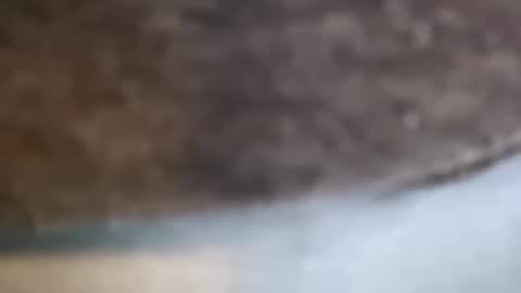 Snapshot of aj297914 chatting on 02-17-26, 03:14 aj297914 online show from 02-17-26, 03:14