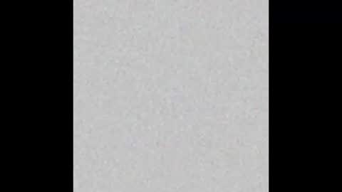 Alaia online show from 10-31-25, 11:22