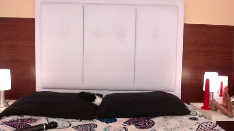 alana online show from 10-25-25, 03:58