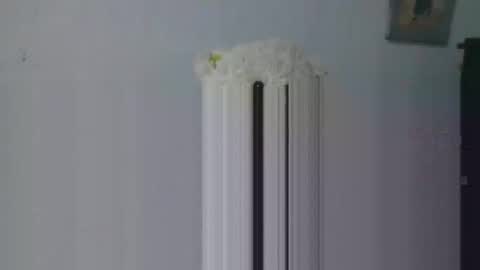 aleka_williams_ online show from 10-20-25, 11:27