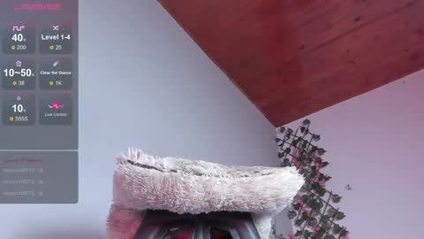 Dani online show from 01-10-25, 08:51