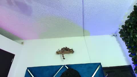 Alexa online show from 02-24-26, 01:47