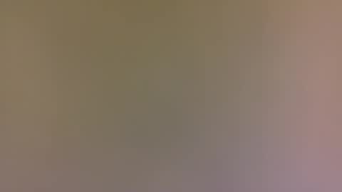 alexfan141 online show from 10-31-25, 04:41