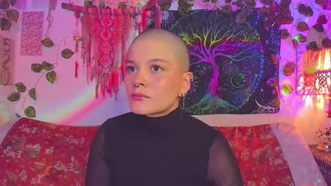 Alex online show from 01-14-26, 02:50