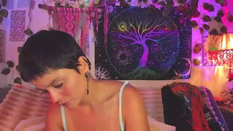 Alex online show from 04-25-26, 02:14