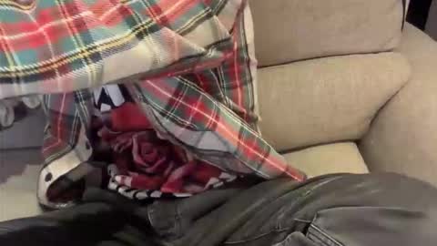 alexthetree online show from 04-20-26, 07:26