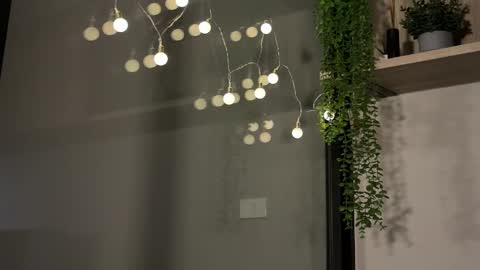 Snapshot of alexwos chatting on 01-23-25, 06:17 Alex online show from 01-23-25, 06:17