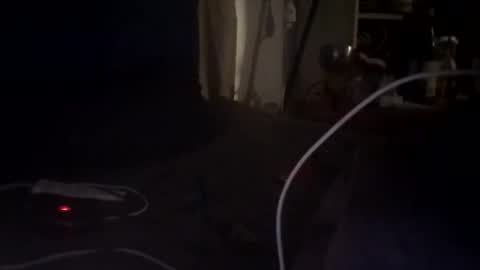 Edgarrrdd1021 online show from 05-09-26, 02:17