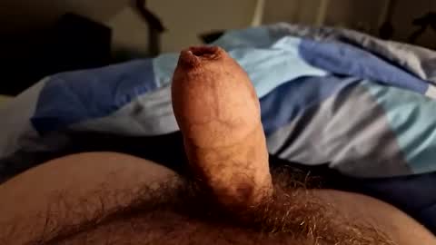 alfred2349 online show from 10-04-25, 11:36