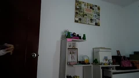 Alia      Anjali  online show from 04-27-26, 12:47