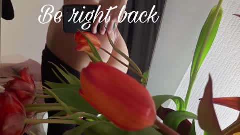 Snapshot of alice_dias chatting on 12-26-24, 12:49 alice_dias online show from 12-26-24, 12:49