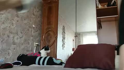 Snapshot of alice_peach chatting on 02-24-25, 11:21 bigclit daddy squirt bigdildo fit online show from 02-24-25, 11:21