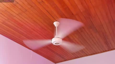  ALICEKIING online show from 12-16-25, 03:00