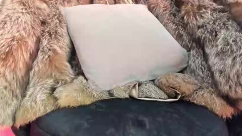 ALICE  online show from 11-20-25, 04:34