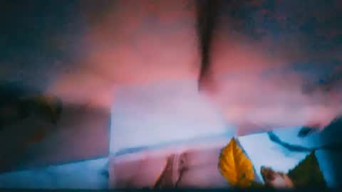 Alina online show from 06-29-26, 03:23