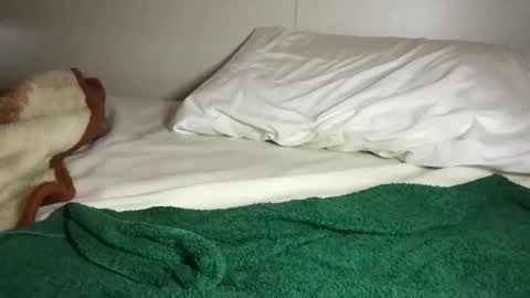 Snapshot of aliroxy28 chatting on 10-16-25, 03:02 Ali Roxy online show from 10-16-25, 03:02