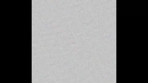 Snapshot of alishapalmer chatting on 10-04-25, 11:08 online show from 10-04-25, 11:08