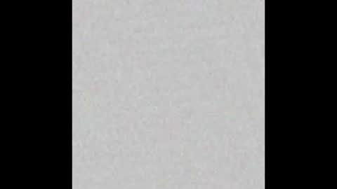 Alisse online show from 02-16-26, 12:01