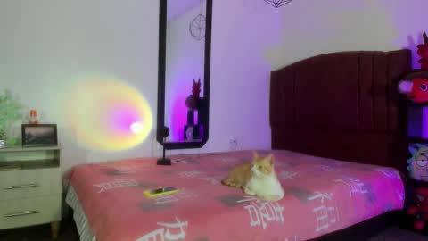 Alisson IG alisson zafiro27 online show from 12-17-24, 09:07