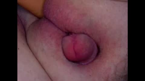 Growing Wiener online show from 03-04-26, 08:59