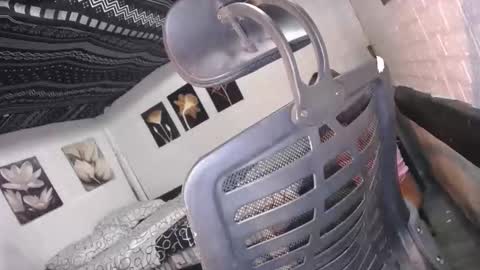 Snapshot of allday_mistress chatting on 12-16-25, 10:09 trina online show from 12-16-25, 10:09