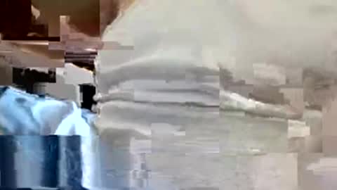 Snapshot of allman617 chatting on 11-13-25, 06:07 allman617 online show from 11-13-25, 06:07