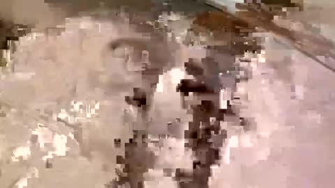 Snapshot of allman617 chatting on 11-16-25, 11:54 allman617 online show from 11-16-25, 11:54