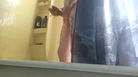 Snapshot of allwolf0323 chatting on 09-30-25, 04:45 allwolf0323 online show from 09-30-25, 04:45