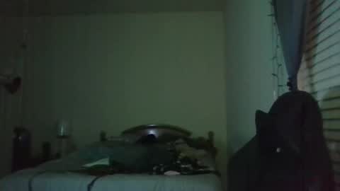 ally12334 online show from 04-03-26, 01:14