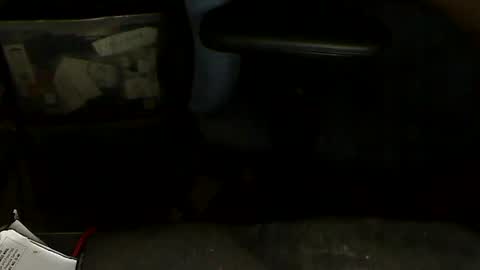 Loooopy online show from 01-20-25, 07:04