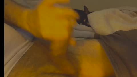 Snapshot of alphablue_wolf1295 chatting on 01-02-25, 06:29 alphablue_wolf1295 online show from 01-02-25, 06:29