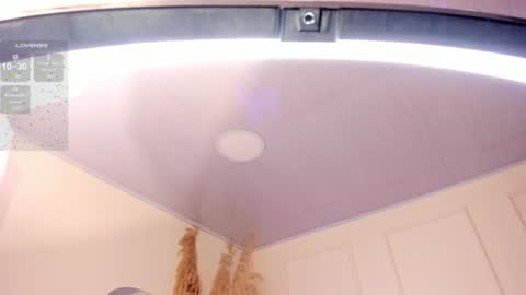 Snapshot of amara_lewiis chatting on 01-24-25, 12:10 Amara Lewis online show from 01-24-25, 12:10