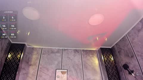 Snapshot of amara_lewiis chatting on 02-19-25, 12:11 Amara Lewis online show from 02-19-25, 12:11