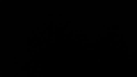 Amarantha online show from 01-19-25, 01:55