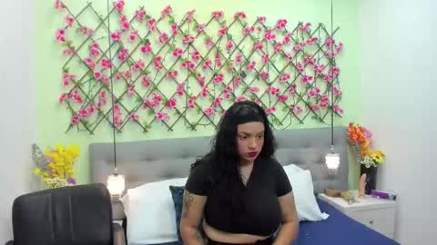 Snapshot of ambar85 chatting on 11-22-25, 03:49 ambar85 online show from 11-22-25, 03:49