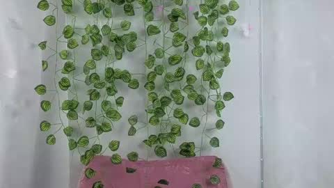 Amber  online show from 04-24-26, 01:24