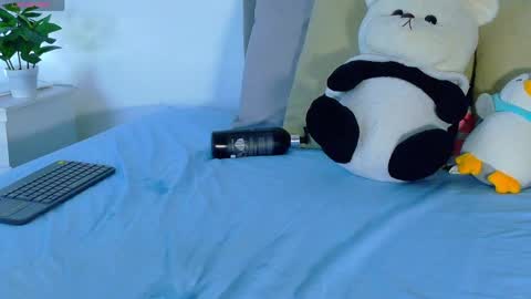 amber_bull online show from 04-29-26, 02:10