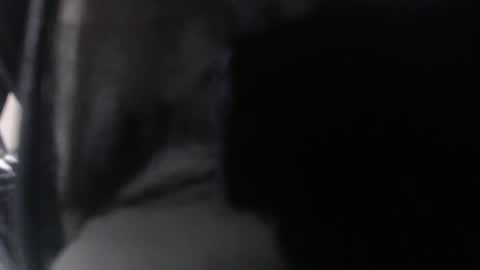 Snapshot of amoremeoww chatting on 03-24-26, 11:15 miss unforgettable online show from 03-24-26, 11:15