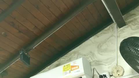 amy_greenee online show from 03-01-26, 11:34