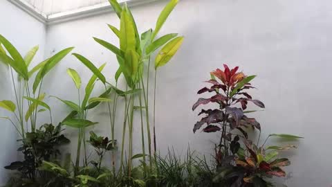 girl next door named Amy online show from 03-02-25, 10:35