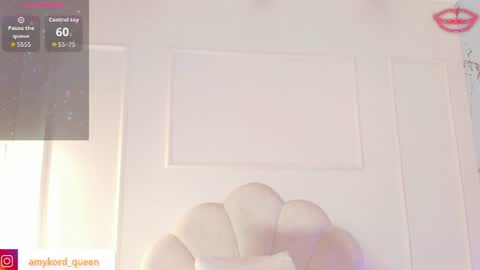 Amykord online show from 06-11-26, 11:41