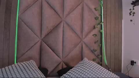 Snapshot of amypalmmer chatting on 11-19-25, 11:43 AMMY online show from 11-19-25, 11:43