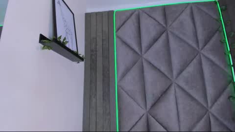 Snapshot of amypalmmer chatting on 11-24-25, 11:43 AMMY online show from 11-24-25, 11:43