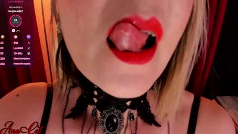 Ana online show from 04-24-26, 04:42