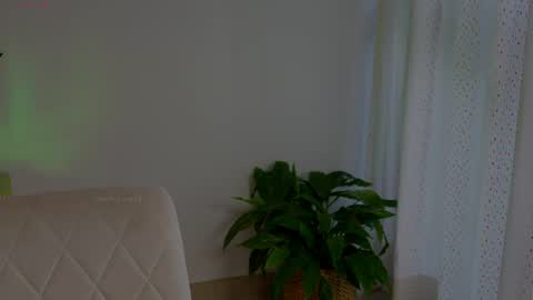 anabelcurvy online show from 05-13-26, 06:38