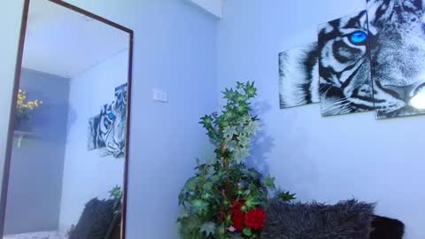 Analia online show from 02-08-25, 03:10