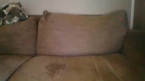 Snapshot of andellus chatting on 02-02-25, 11:51 andellus online show from 02-02-25, 11:51